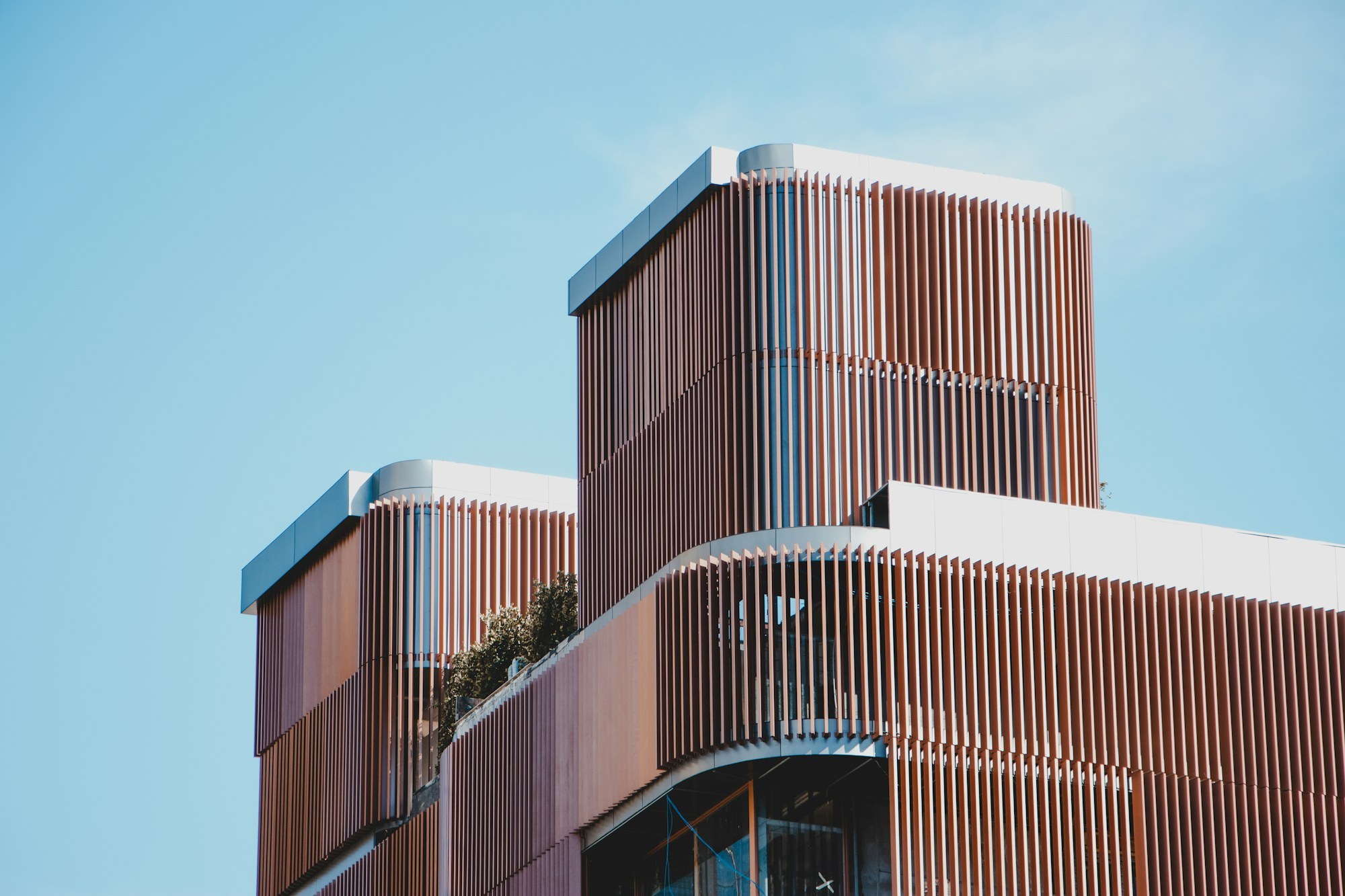 Façade d'immeuble protégée des nuisances des pigeons